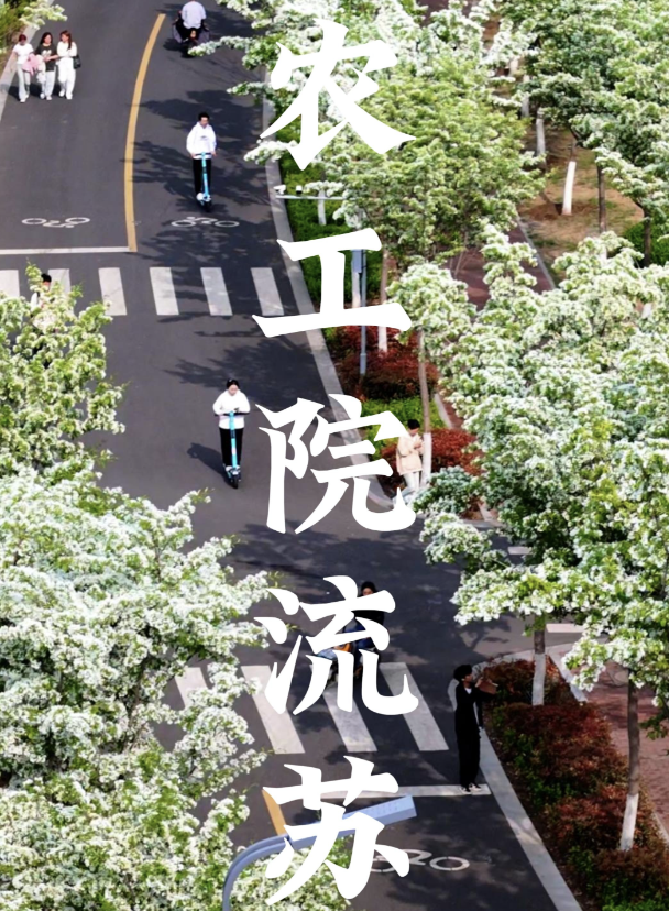 صورة المعرض